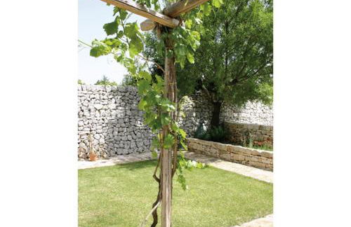 Agriturismo Antonelli Piangevino - Foto 37