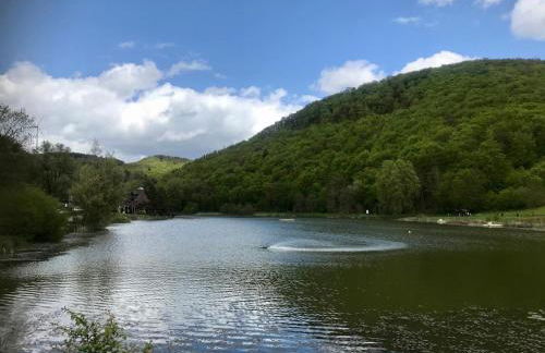 Blockhaus Edelweiss - Foto 42