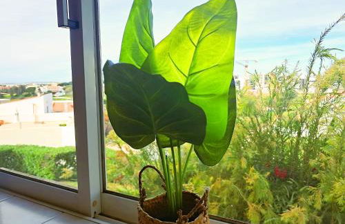 Apartamento Oásis Parque 1 - Foto 14