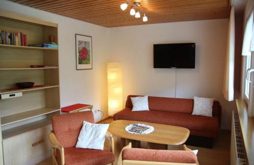 Steiert Panorama Apartments Todtnau - Foto 33