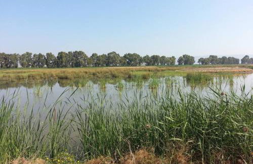 Casa caretta caretta - Foto 27