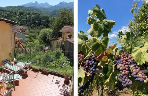 Tranquil Tuscan House with Pool and Scenic Views - Foto 41