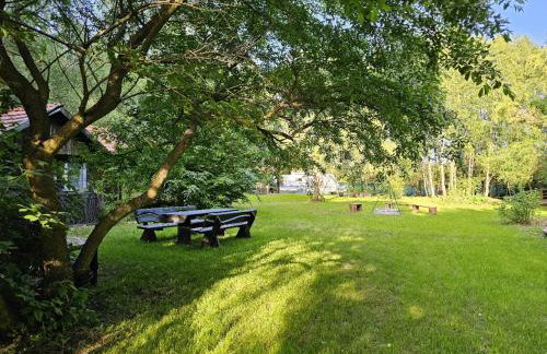 Dom Pod Brzozami Lipinki Bory Tucholskie basen - psy, koty mile widziane! - Photo 6