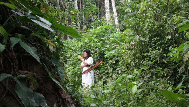 Randonnée dans les sentiers denses de la jungle Lacandone