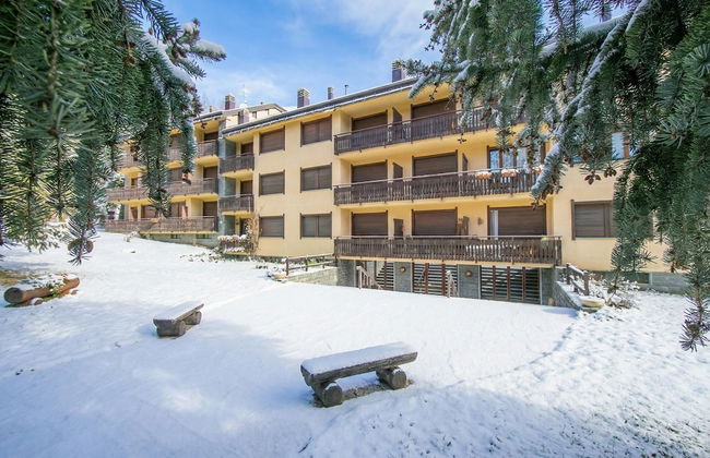 Il Nido di Elda (few steps from skiing) - Photo 13