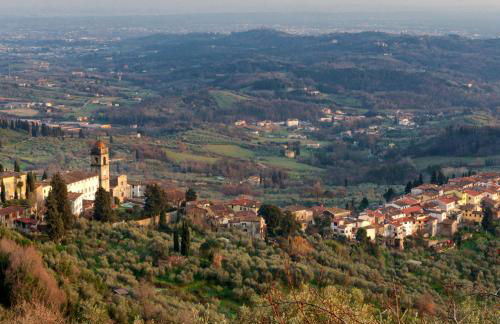 Anacleto via Castello 48 - Foto 11