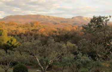 Almond Tree House - Eco Retreat - Foto 30