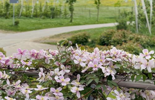 Biohof Stotz - Foto 68