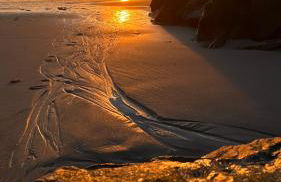 Forest Terrace Praia de Mira - Foto 29