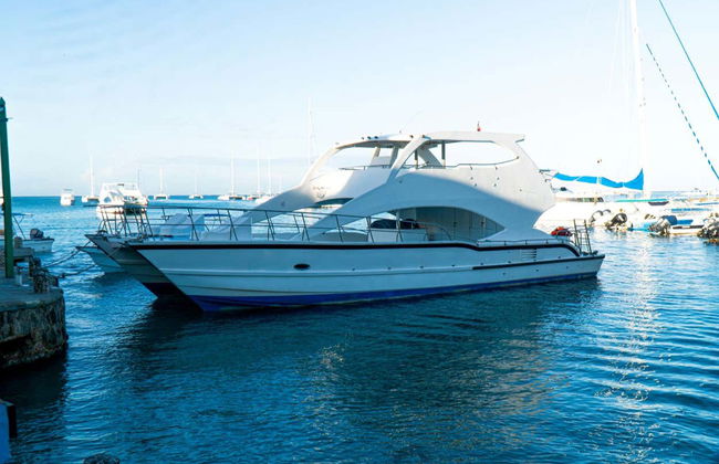 Excursão à Isla Catalina com snorkel - Foto 3