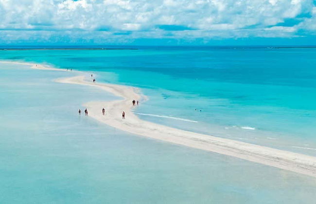 Excursión a Maragogi - Foto 1