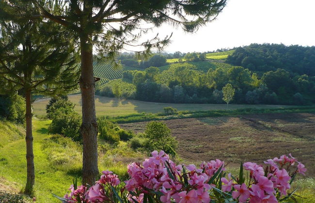 Panoramic Villa in Tuscany Rolling Hill, Well Connected, Everyday new Journey to - Foto 37