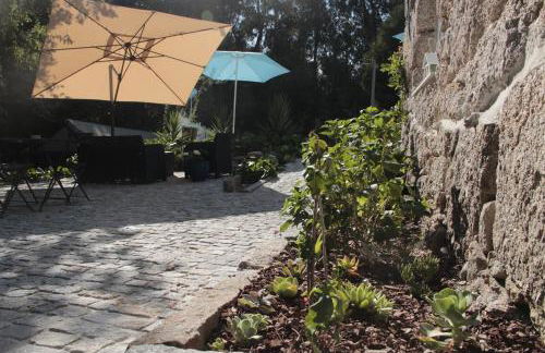 Bosque dos Amieiros - Foto 65