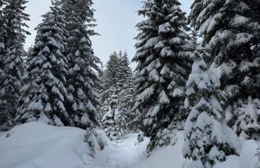 Allgäu Bergluft - Photo 14