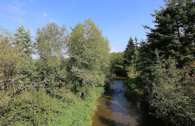 Riverside Mansion Retreat - Foto 33