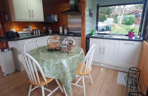Snowdonia Escapes # TRANQUIL CABIN with Views, Wi-Fi, Dog Friendly & Parking - Foto 17