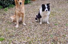 Ferienwohnung Fellnasen WG - Foto 34