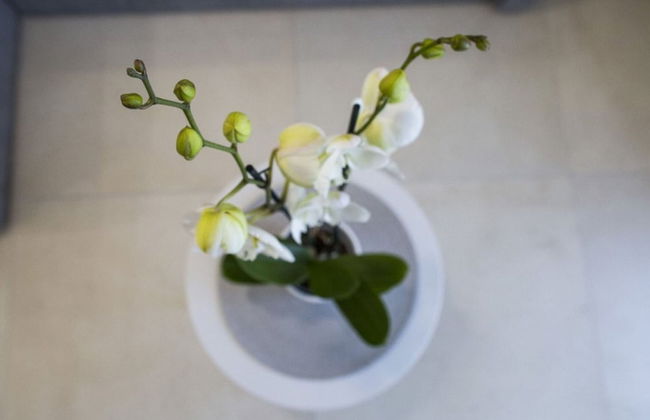 Apartment in Imotski Near Blue Lake - Foto 9