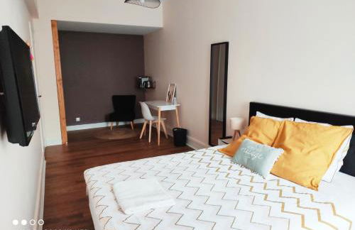 157m2, 4 chambres, 4 salles de bains, 2 WC, 2 parkings en hypercentre - Foto 12