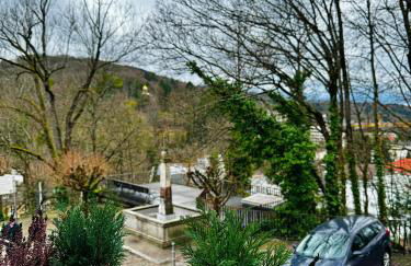 Schloss Apartment, Zentrum Baden-Baden - Foto 31