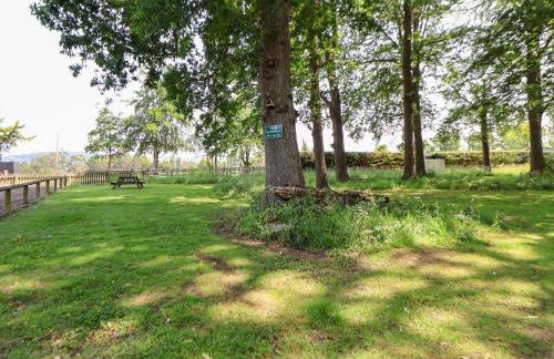 The Fallows - Photo 26