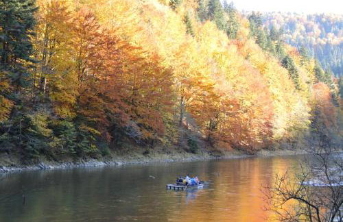 Apartament Pod Zamczyskiem - Photo 35