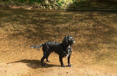 Driftwood Apartment - Foto 33