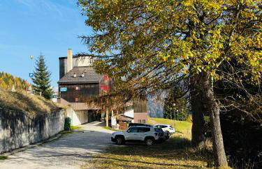 Il Cirmolo delle Saline - Foto 17