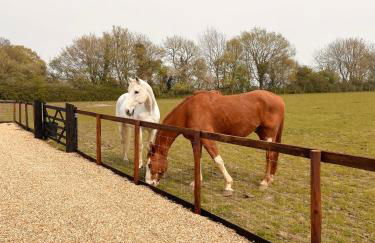 The Hayloft - Foto 16