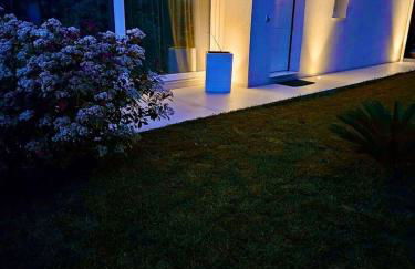 White House - Foto 8