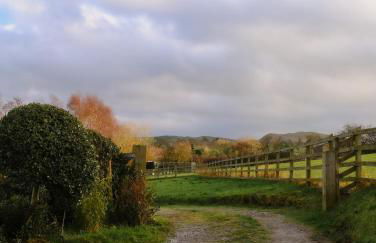 The Cosy by Birch Stays - Photo 11