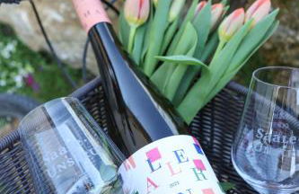 WEINQUARTIER Bad Kösen 65 qm Küche Parkplatz Terrasse Weinbergsblick - Foto 31