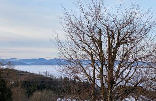 Appartement Bergwaerts - Foto 33