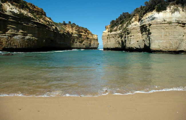 Excursion sur la Great Ocean Road - Photo 2