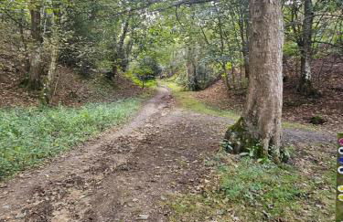 Fawn Lodge, Kelling Heath - Woodland Setting and Pets Welcome - Photo 9