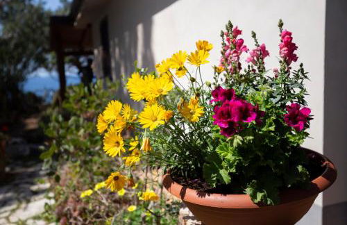 Villa Dei Pini - Foto 35