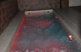 El huerto de la Dominga - Foto 20