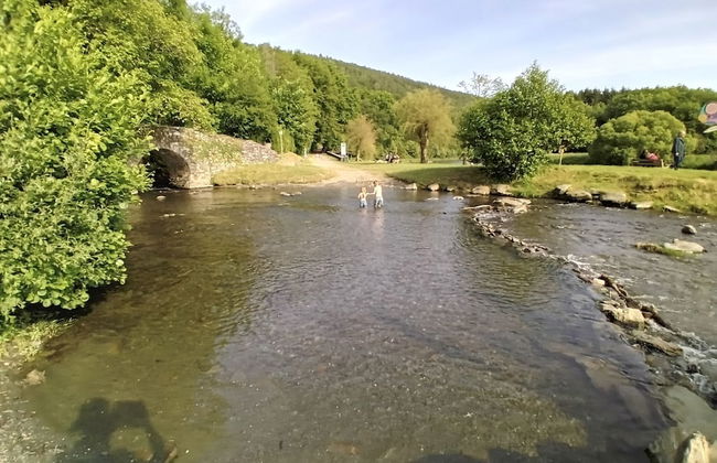 Au Pied de Vigne - Foto 13