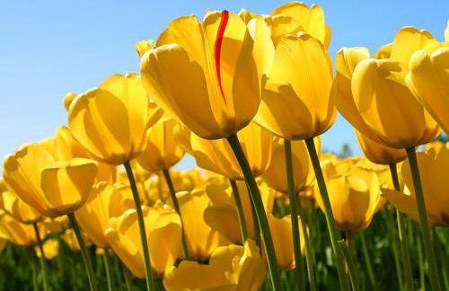 Apartments Cityside MünchenPlanegg - Foto 41