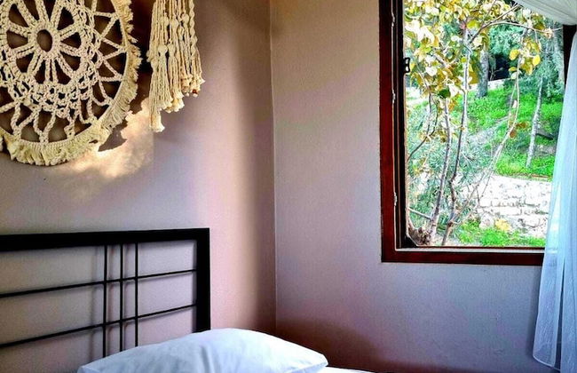 Sole Foca ( Ages 12+ ) - Foto 16