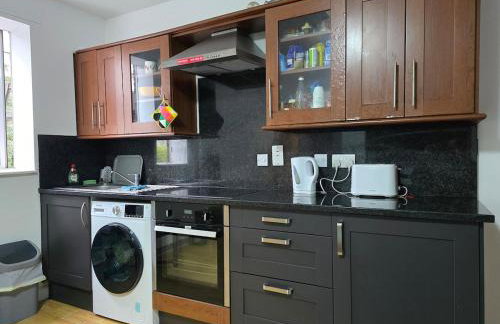 2 Double Bed Apartment Central London - Foto 10