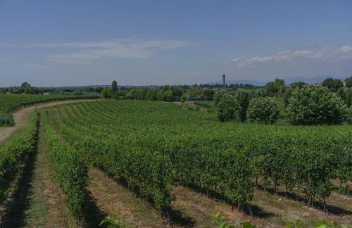 La Casina Apartment - con giardino e piscina - Foto 27