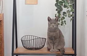 Kanela Guest House B-side - Foto 47