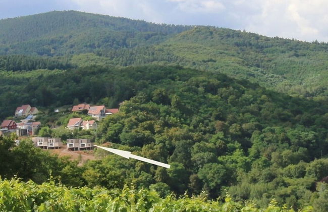 Terrasses D'alsace - Foto 35