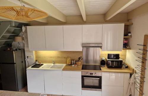 Maison typique 6 couchages oleronaise au cœur de l'île d'oleron - Foto 1