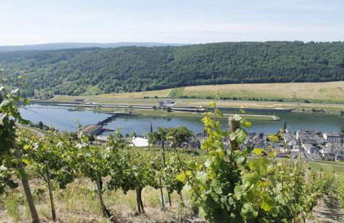 Ferienhaus Moselblick mit kostenfreien ÖPNV-Ticket - Foto 24