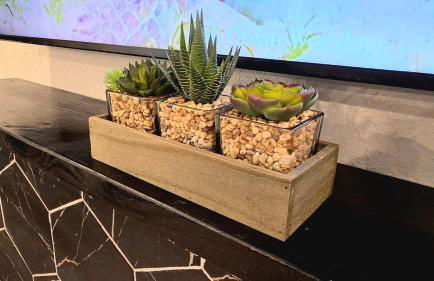 Charming & Stylish in Mid-Town - Foto 7