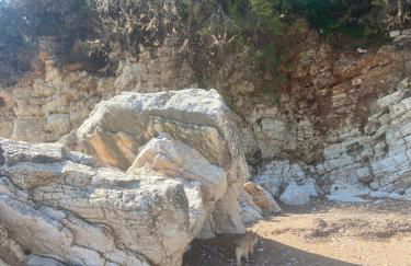 Villa Delfini - Foto 50