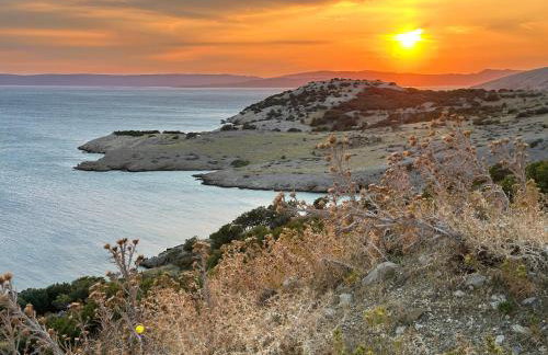 Sunshine Residence - Foto 32