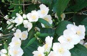 Le Pigeonnier - TG2260 - Foto 24